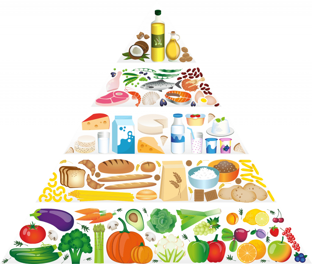 Weight Losing Tricks Food Pyramid