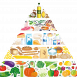 Weight Losing Tricks Food Pyramid