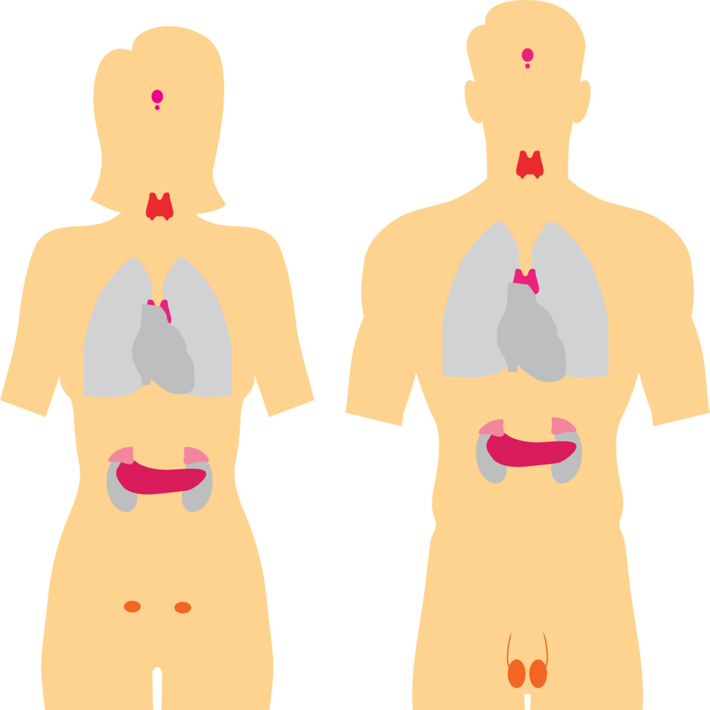 Weight Losing Tricks endocrine